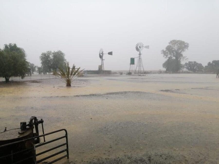 karoo rain rainfall eastern cape south africa